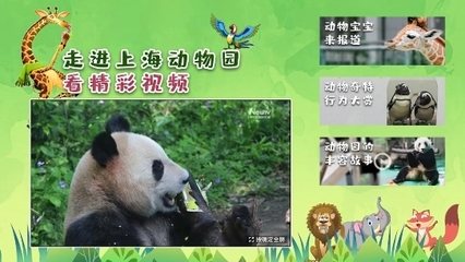 解鎖六一特別陪伴模式 中國互聯(lián)網(wǎng)電視帶您云游上海動物園，探秘動物飼養(yǎng)
